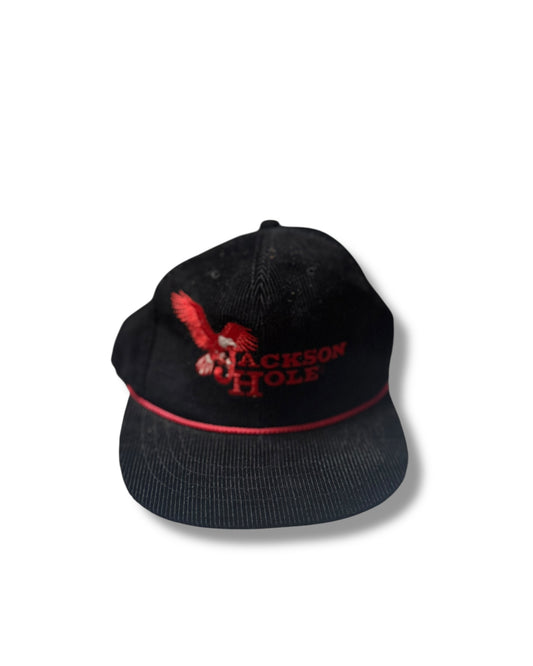 '90s Jackson Hole Snap Back Hat