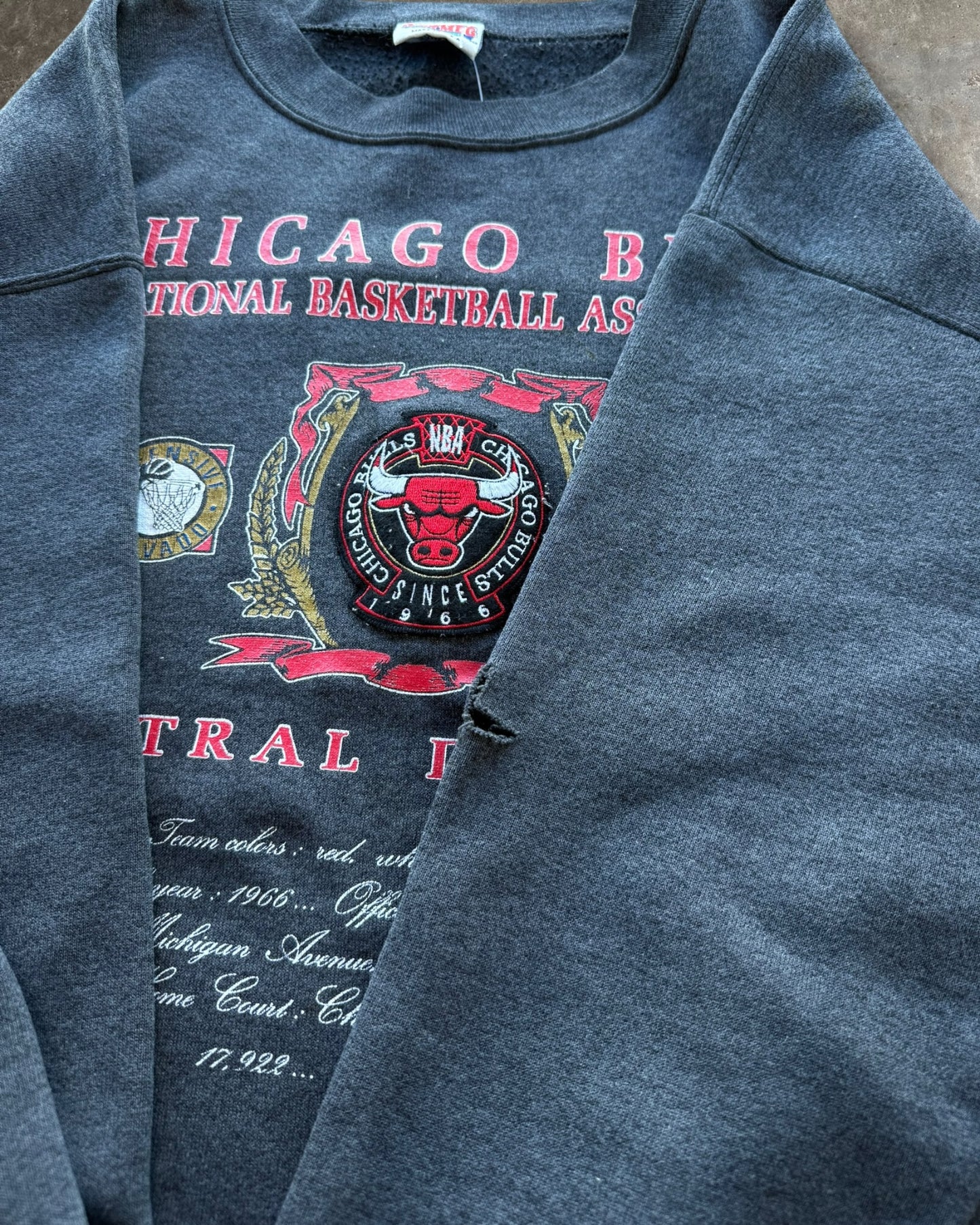 '90s Chicago Bulls Central Divison Crewneck Sz.XL
