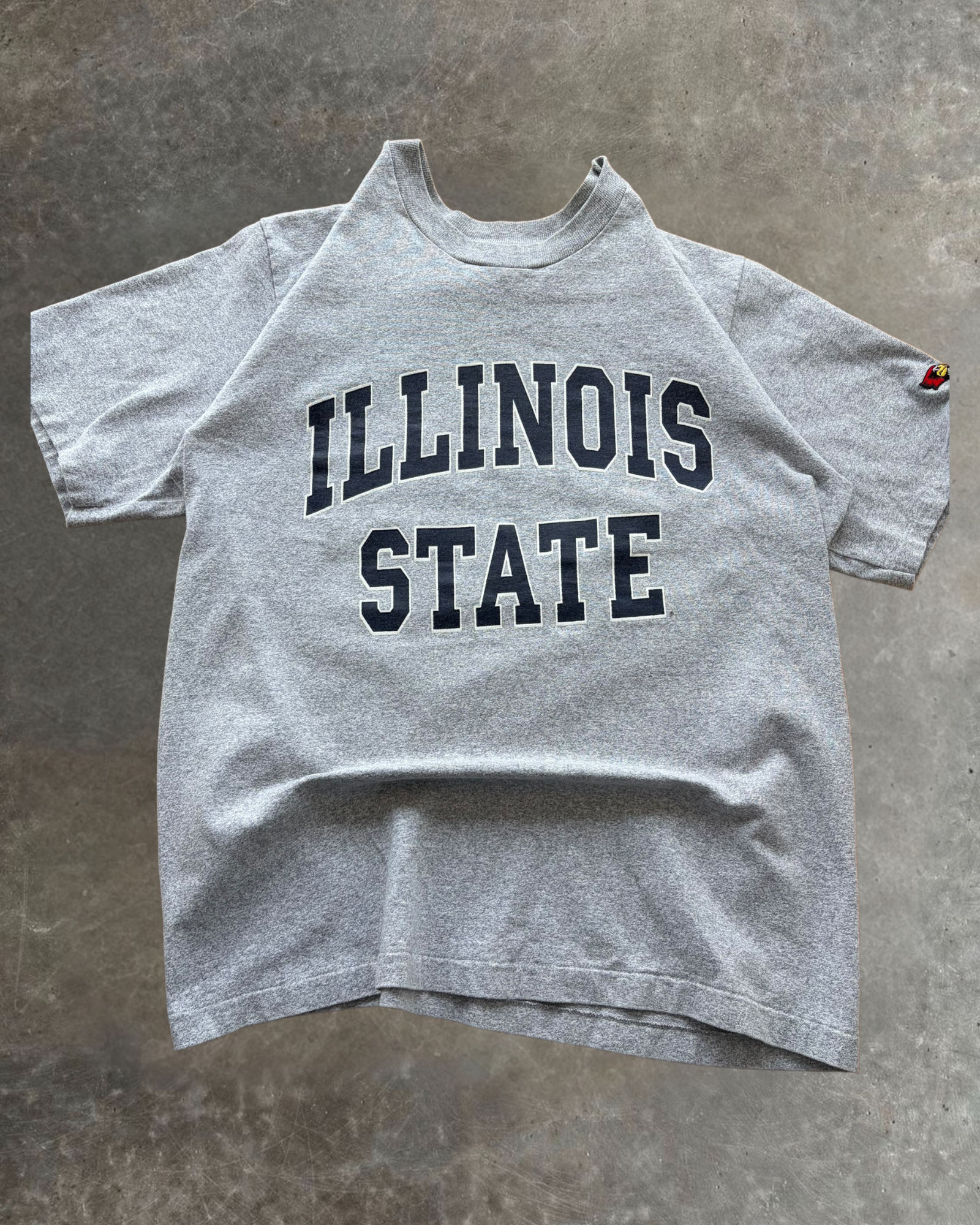 '90s Illinois State Tee Sz. L