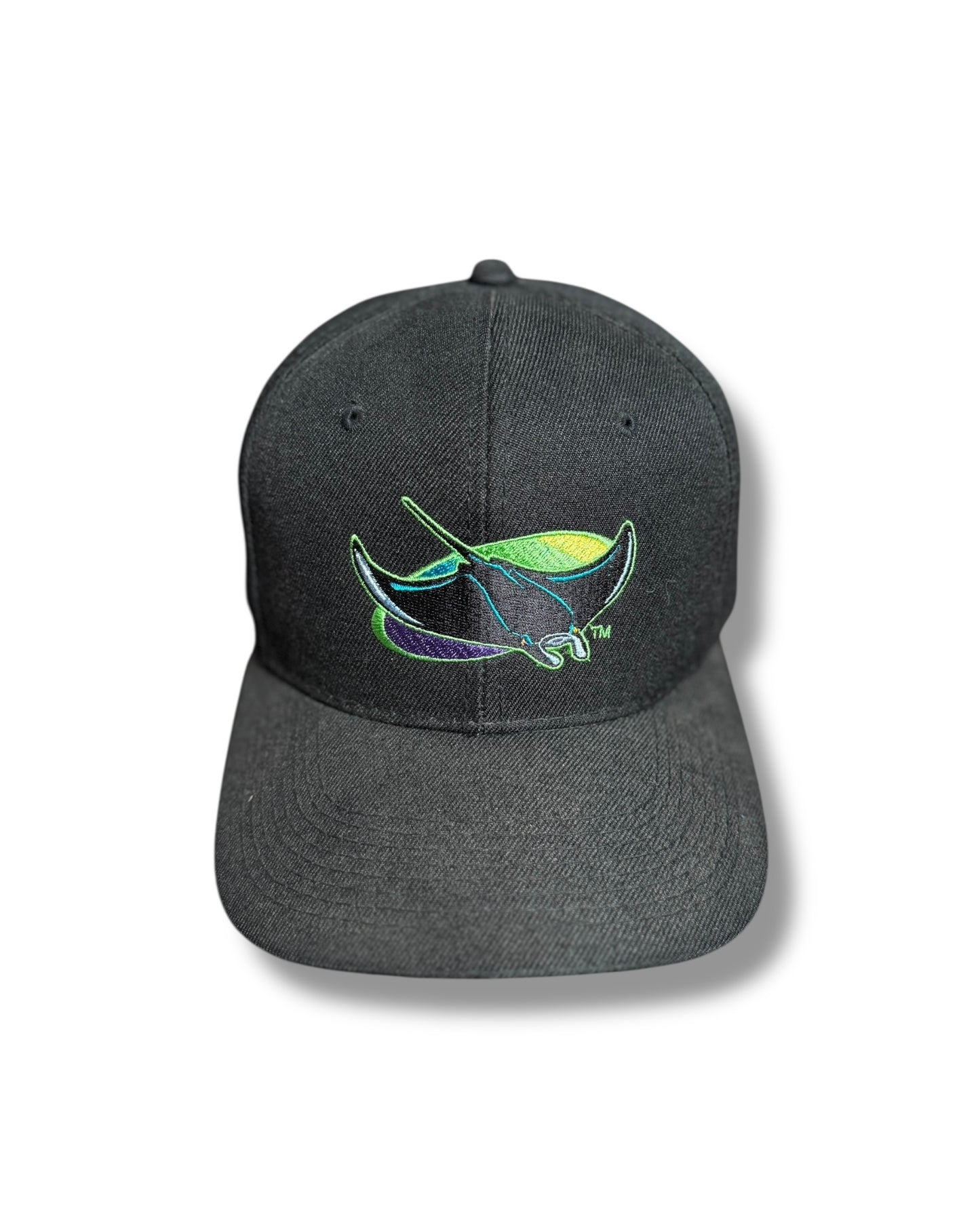 '90s Tampa Devil Rays Snap Back Hat