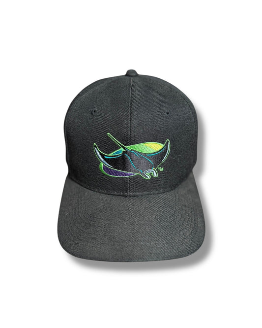 '90s Tampa Devil Rays Snap Back Hat
